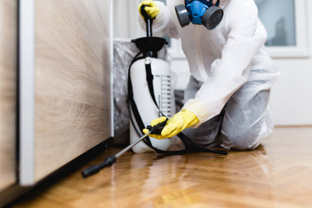 Best Affordable Pest Control Services  in Arroyo Seco, NM