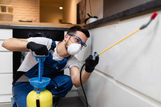 Best Commercial Pest Control Services  in Arroyo Seco, NM