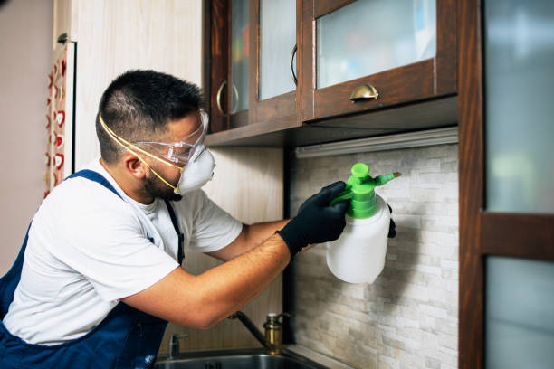 Best Rat Extermination Near Me  in Arroyo Seco, NM