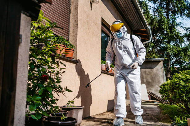 Best Affordable Pest Control Services  in Arroyo Seco, NM