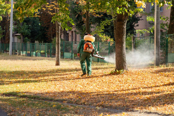 Best Best Pest Control Companies  in Arroyo Seco, NM