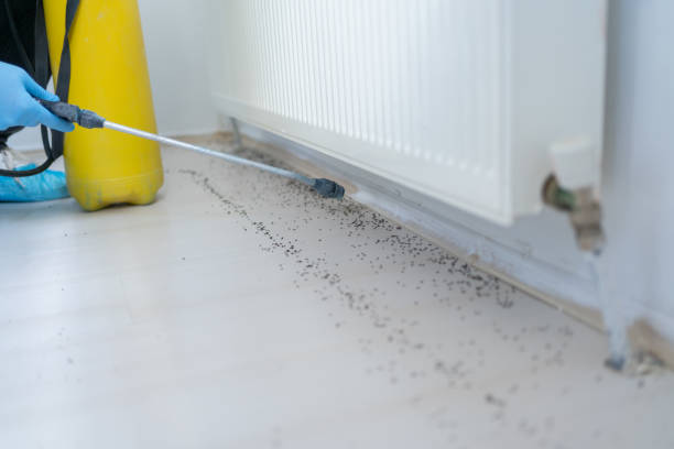 Best Pest Control for Businesses  in Arroyo Seco, NM
